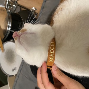 Madalyn heeft een foto van de aankoop toegevoegd