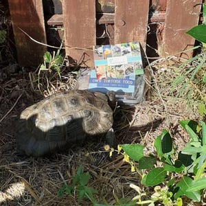 Andrew added a photo of their purchase