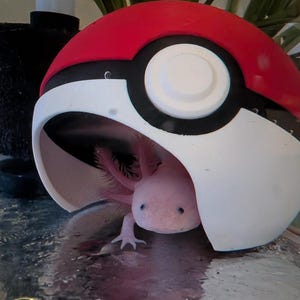 beckzylou added a photo of their purchase