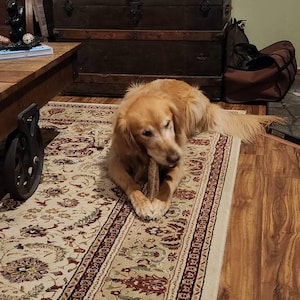 Etsy buyer added a photo of their purchase