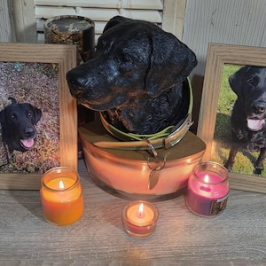 Collette added a photo of their purchase