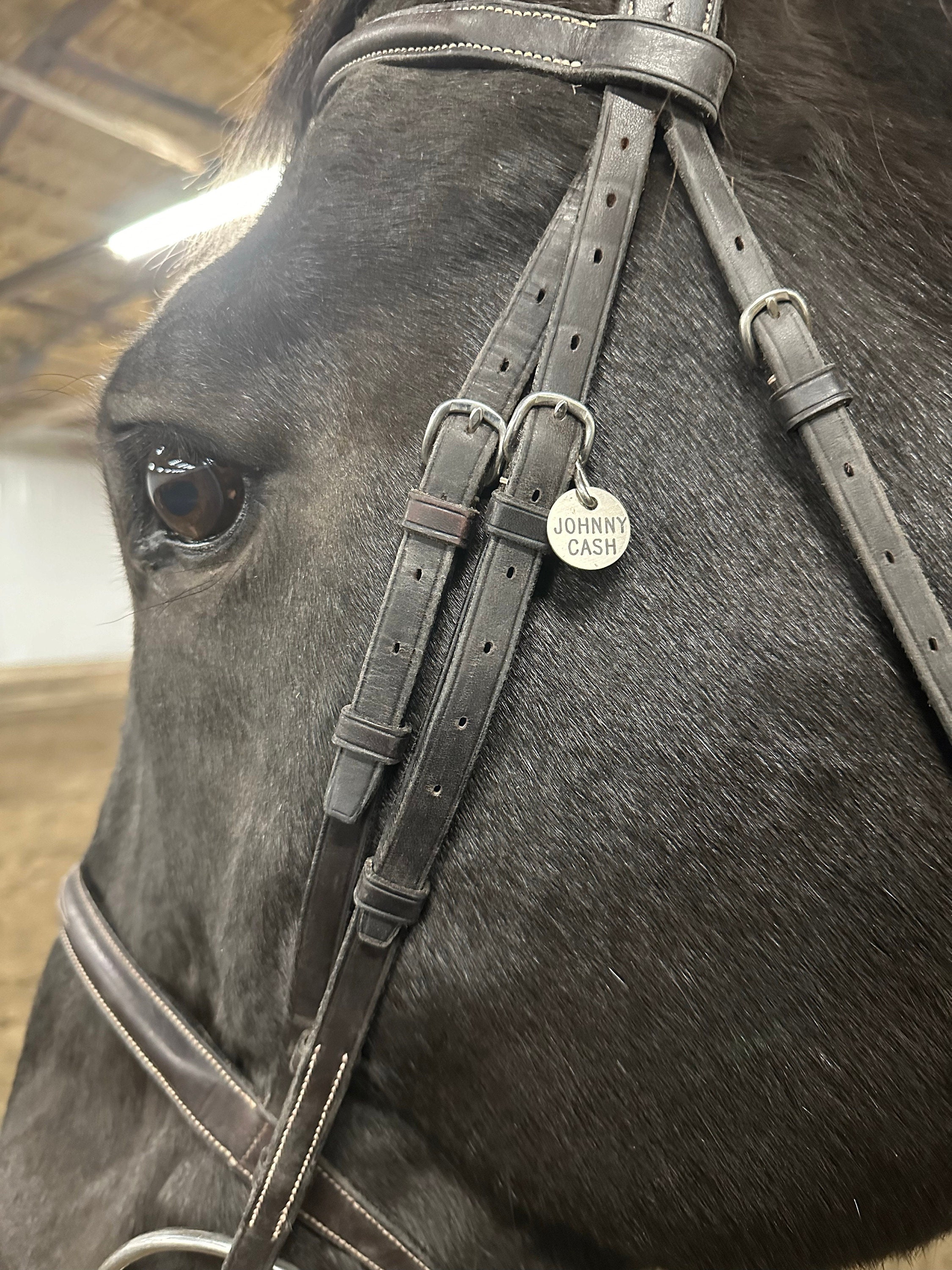 BRIDLE TAG THICK Halter- Small 3/4&quot; Custom Engraved Solid Brass or Nickel Silver