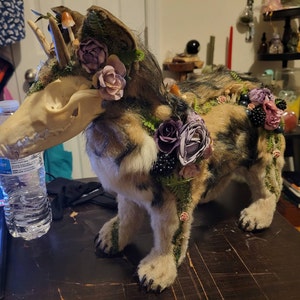 Wolf added a photo of their purchase