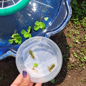 Jennifer heeft een foto van zijn/haar aankoop toegevoegd