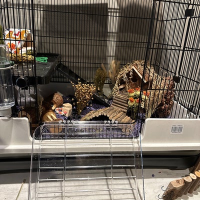 Illustration of Multi-Level Hamster Cage With Internal Furniture