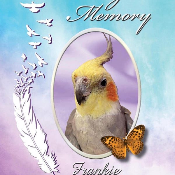Bird Sympathy Card, Bird Sympathy, Bird Prints, Parakeet Card, Macaw ...