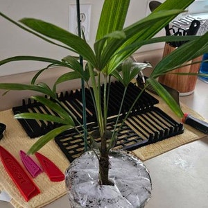 Adam added a photo of their purchase