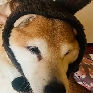 Noriko added a photo of their purchase