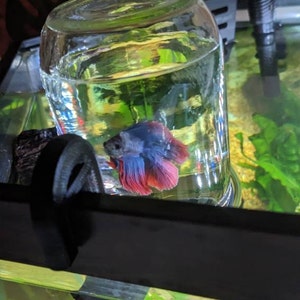 Emery added a photo of their purchase
