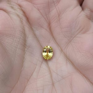 NM さんが購入した商品の写真を追加しました