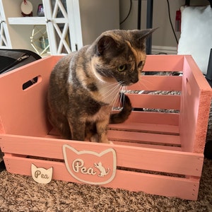 Michelle added a photo of their purchase