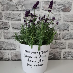 Jana added a photo of their purchase