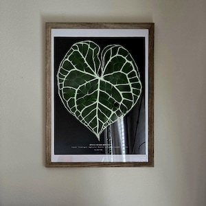 Verity added a photo of their purchase