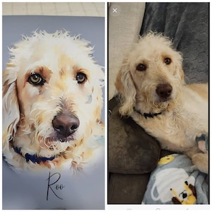 Crissy ha añadido una foto de su compra