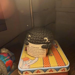 Misty added a photo of their purchase