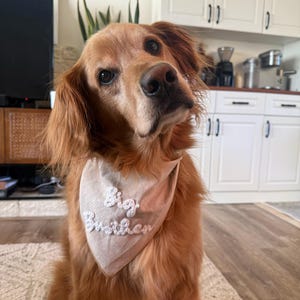 Sammy added a photo of their purchase
