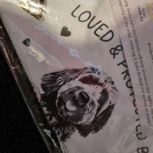 Chelsea ha añadido una foto de su compra