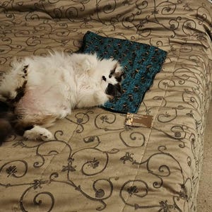 Mycatrules added a photo of their purchase