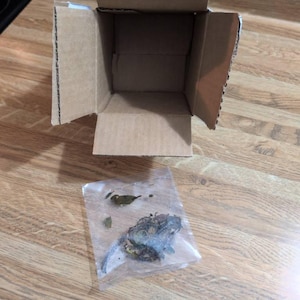 James added a photo of their purchase