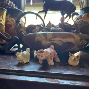 Barbara added a photo of their purchase