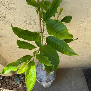 Cindy added a photo of their purchase