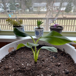Maggie added a photo of their purchase