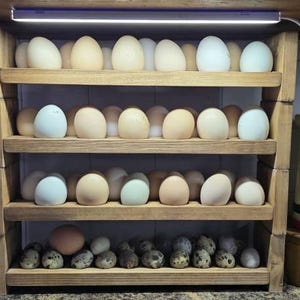 Sara added a photo of their purchase