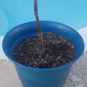 Yvette added a photo of their purchase