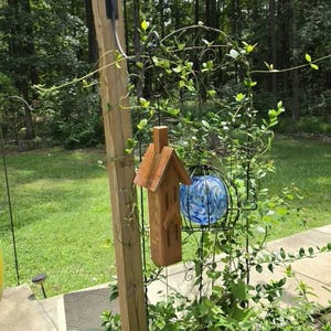 Patibulum added a photo of their purchase