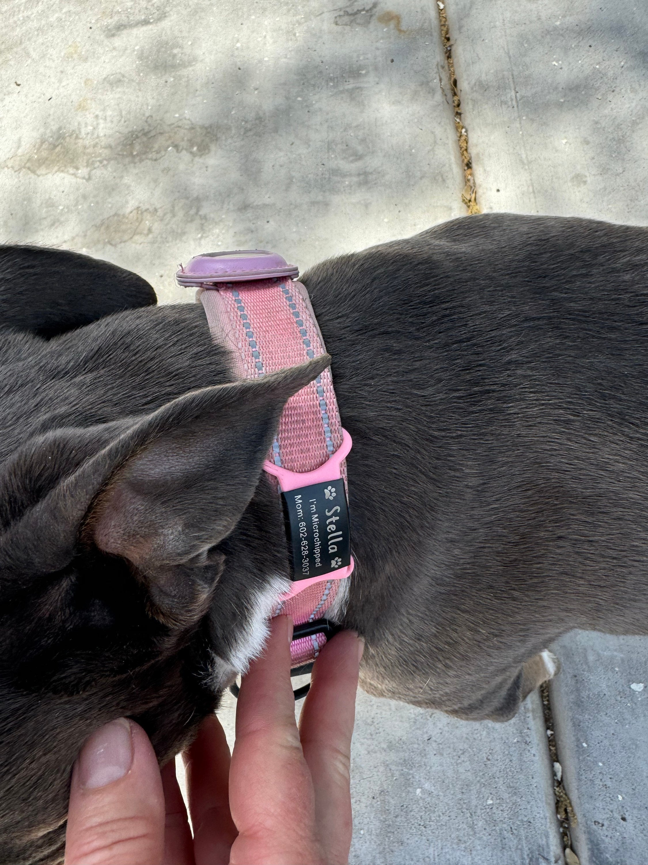 Custom Durable Slide Pet ID Tag🐶🐱,Personalized Name Silicone Dog Tag, Gift for Dog Owner