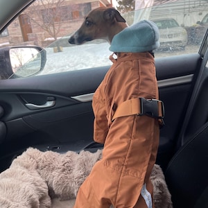 Cynthia added a photo of their purchase