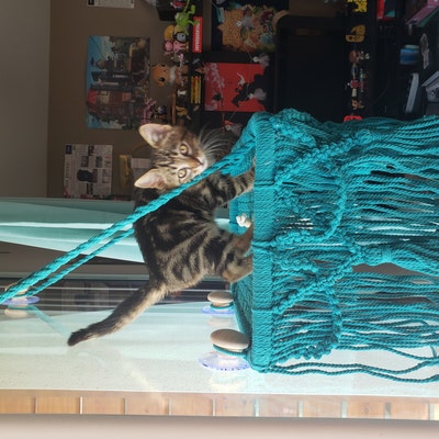 RUIZHIXUAN Macrame Hat Rack – Boho Wall Hanger For 8-12 Caps, Natural Cotton & Wood, No Assembly Needed - View #3