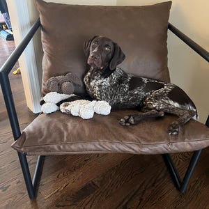 Nicole added a photo of their purchase