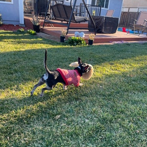 Curstin added a photo of their purchase