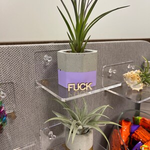 Give a Fuck FUCK Wooden Cutouts Make Your Own Jar of Fucks 160 per Pack