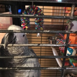 Etsy buyer added a photo of their purchase