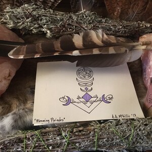 Asaar added a photo of their purchase