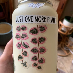 Kimm added a photo of their purchase