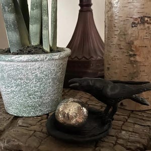 debra added a photo of their purchase