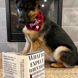 Big Brother Dog Bandana Pregnancy Announcement Dog Bandana - Etsy