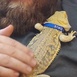 Tiffany hat ein Foto des gekauften Artikels hinzugefügt