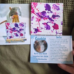 Ava added a photo of their purchase