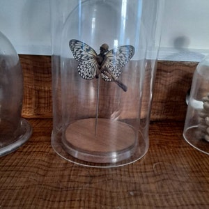 Alison added a photo of their purchase