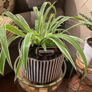 Sandra added a photo of their purchase