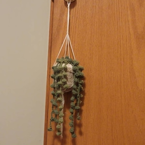 Kaitlyn added a photo of their purchase