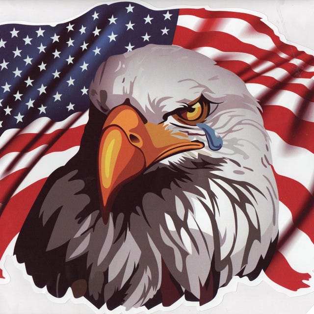 USA United States America & GERMANY American-German Flag Stickers,3 (75mm) x2 e