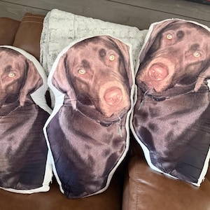 Nicole ha añadido una foto de su compra