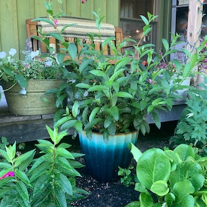 Aimee added a photo of their purchase