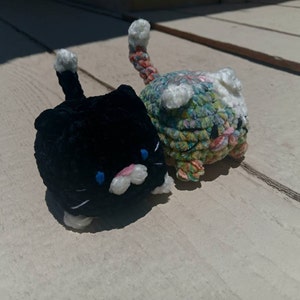 Cat added a photo of their purchase