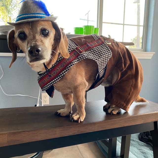 German dog outfit sales